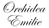 logociernemale